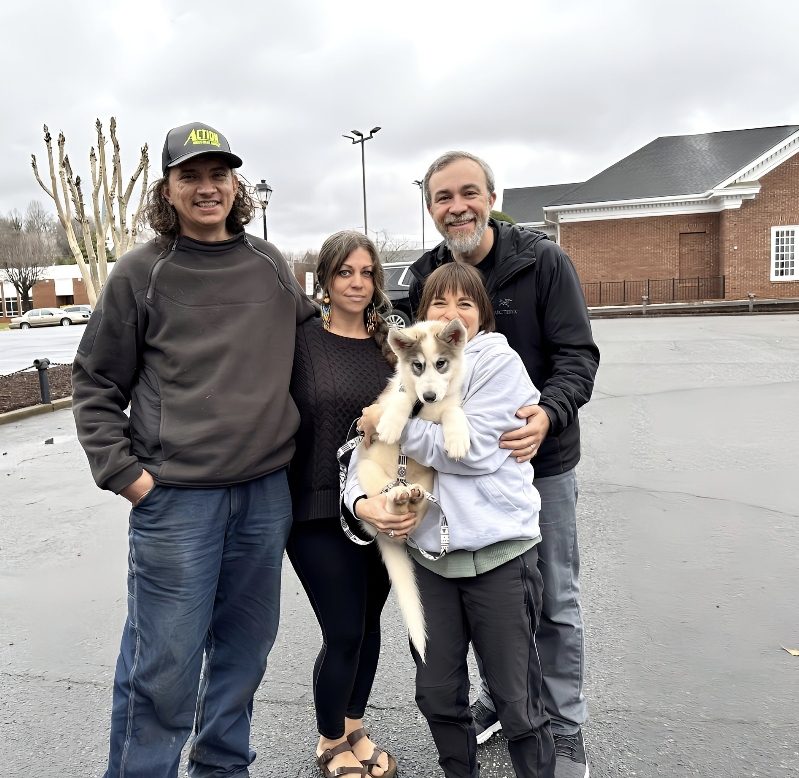 Native American Indian Dog displaying calm, attentive temperament associated with medicine dogs