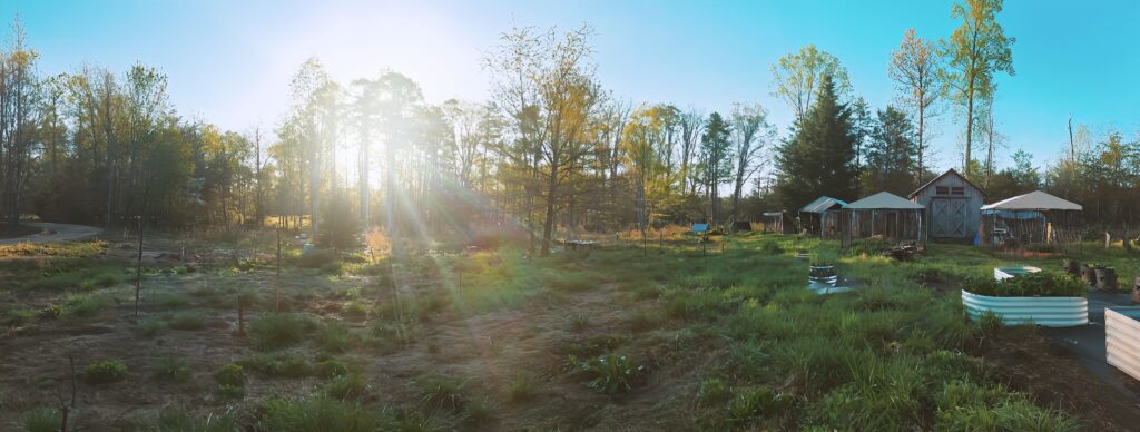 Native American Indian Dog breeding program homestead and kennels on private land