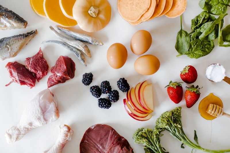 Fresh biologically appropriate raw diet prepared for naturally reared dogs